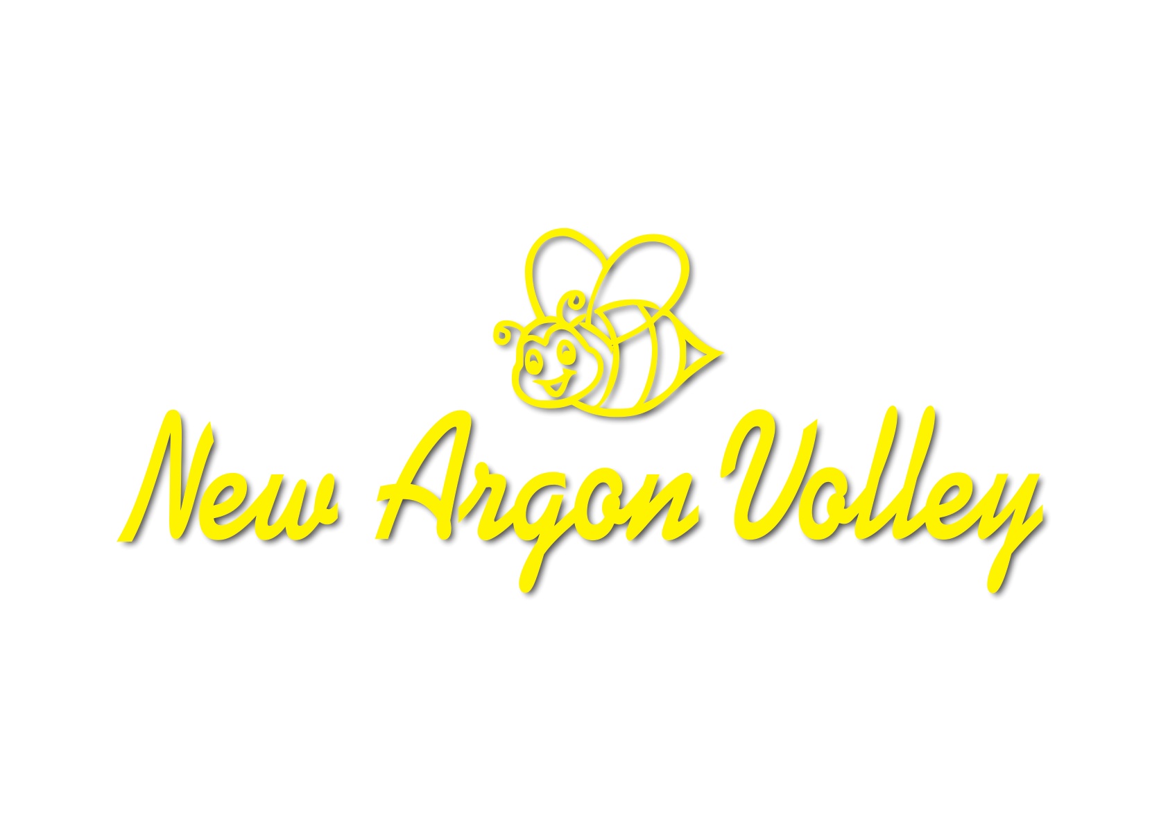 immagine A.S.D. New Argon Volley 