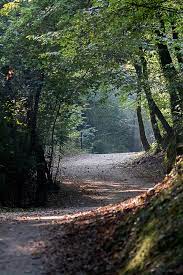 Pubblichiamo un elenco di sentieri accessibili a tutti, presenti nel nostro territorio comunale e mappati grazie al prezioso supporto di Sezione CAI Bergamo ed un gruppo di associazioni bergamasche nell'ambito del progetto 